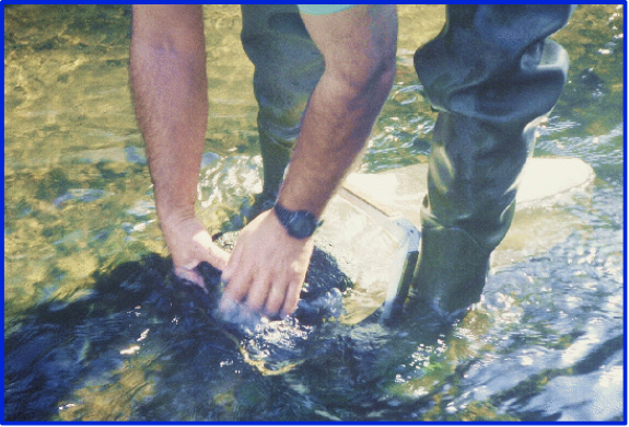 Evaluation physico-chimique et biologique des milieux aquatiques (SS00522A)