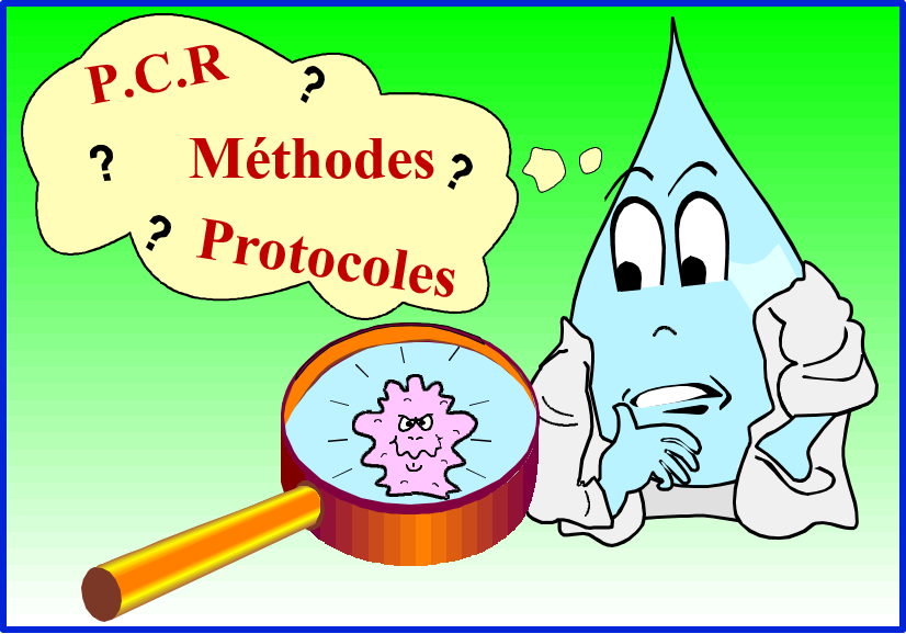 Stratégies de quantifications, perfectionnement et génotypage par qPCR