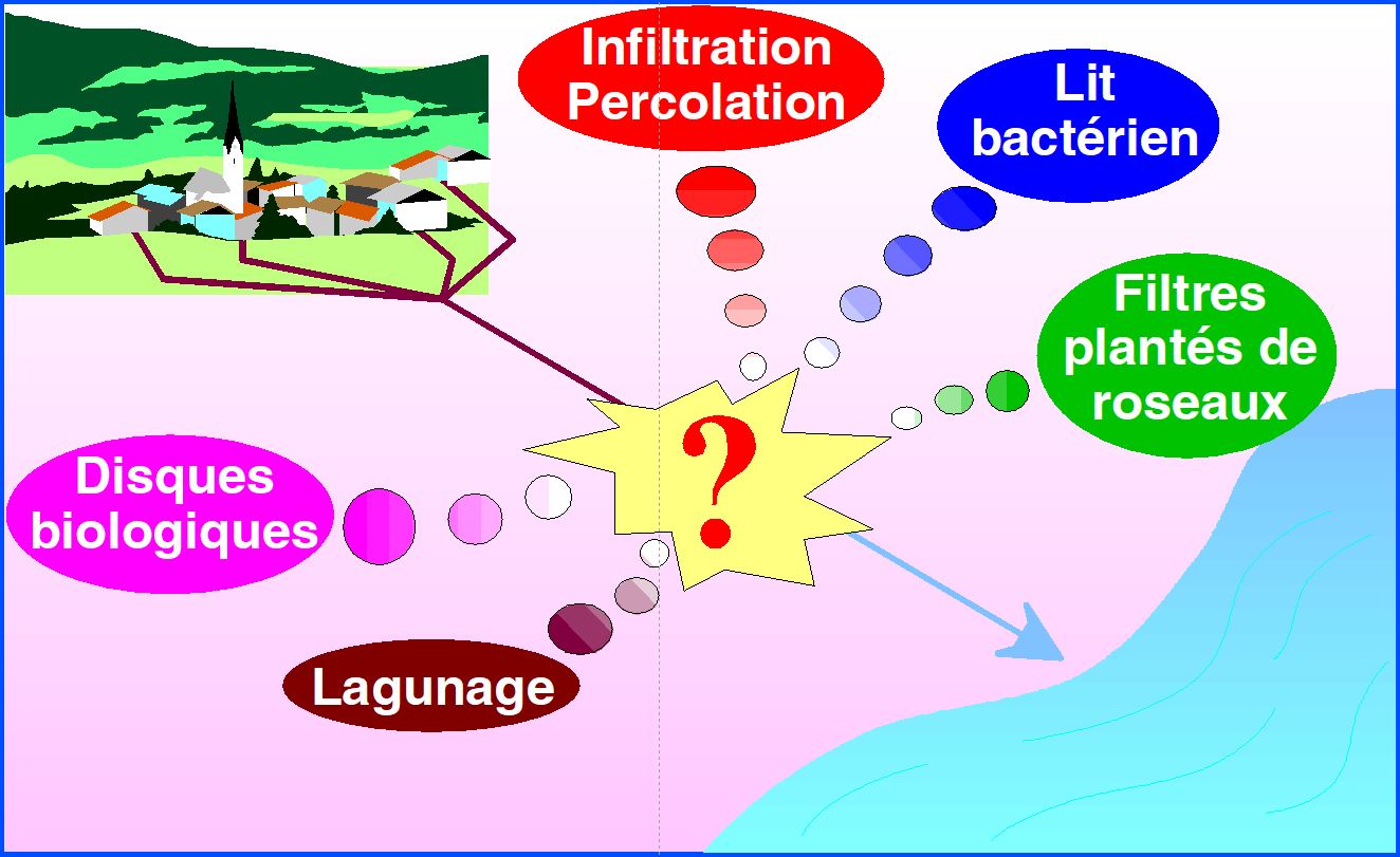 Conception et dimensionnement Module 2 : macrophytes et autres traitements pour petites collectivités