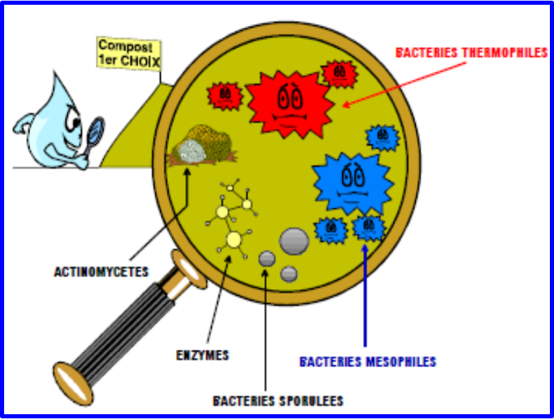 Gestion des biodéchets - SAS CHAMPS JOUAULT - SZT0426A